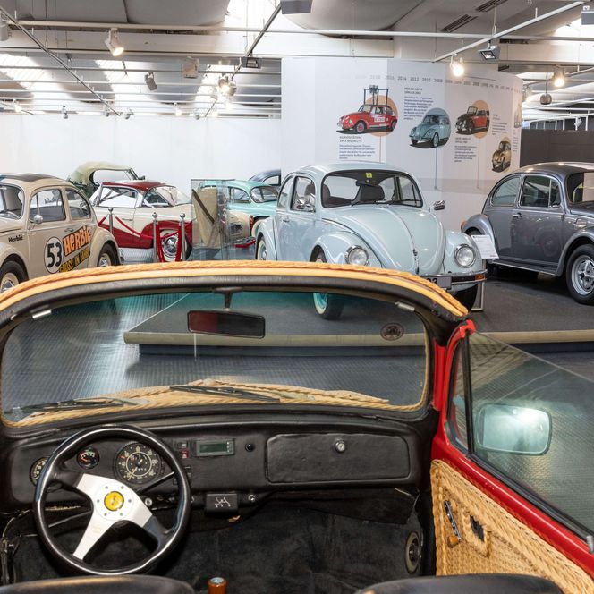 Mehrere VW-Käfer auf einer Ausstellungsfläche